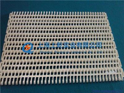 塑料網帶廠家圖片,塑料網帶廠家圖片大全,上海上乾實業-